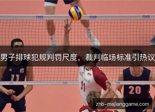 男子排球犯规判罚尺度，裁判临场标准引热议